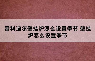 雷科迪尔壁挂炉怎么设置季节 壁挂炉怎么设置季节